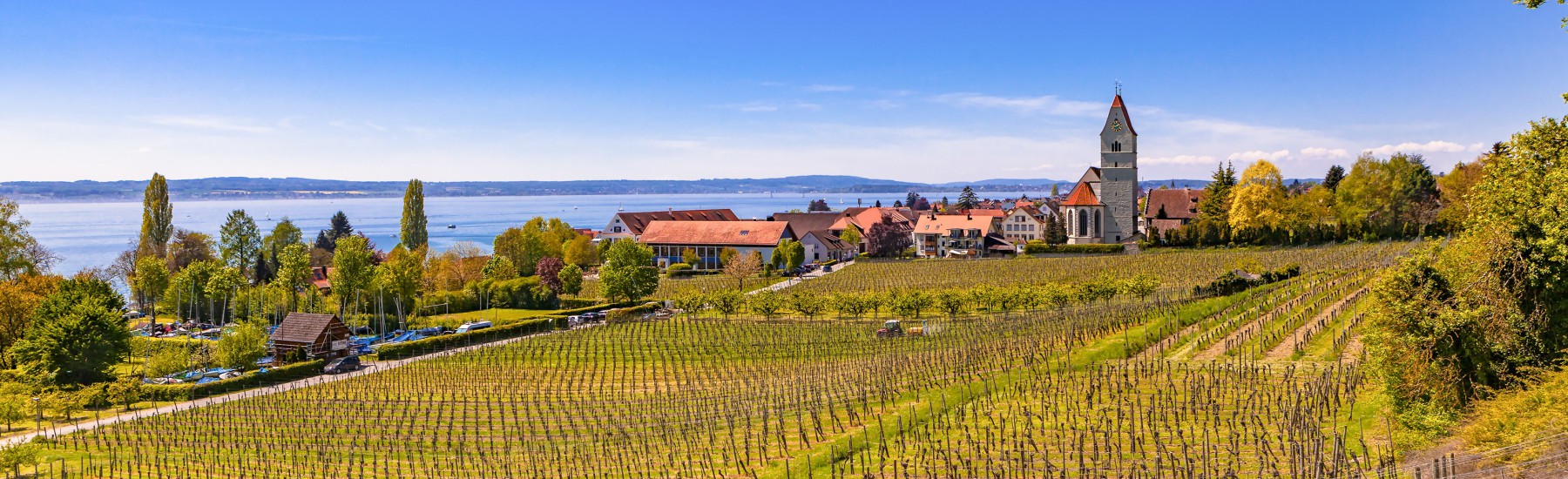 bodensee zicht op meersburg